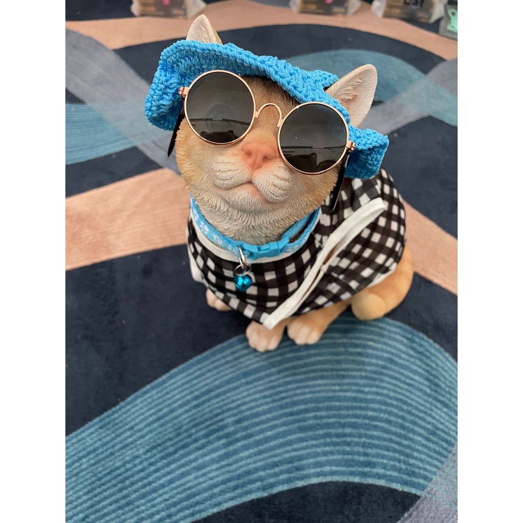 Paket Outfit Kucing | Gift Box Kucing | Baju Kucing Kacamata Topi Kucing