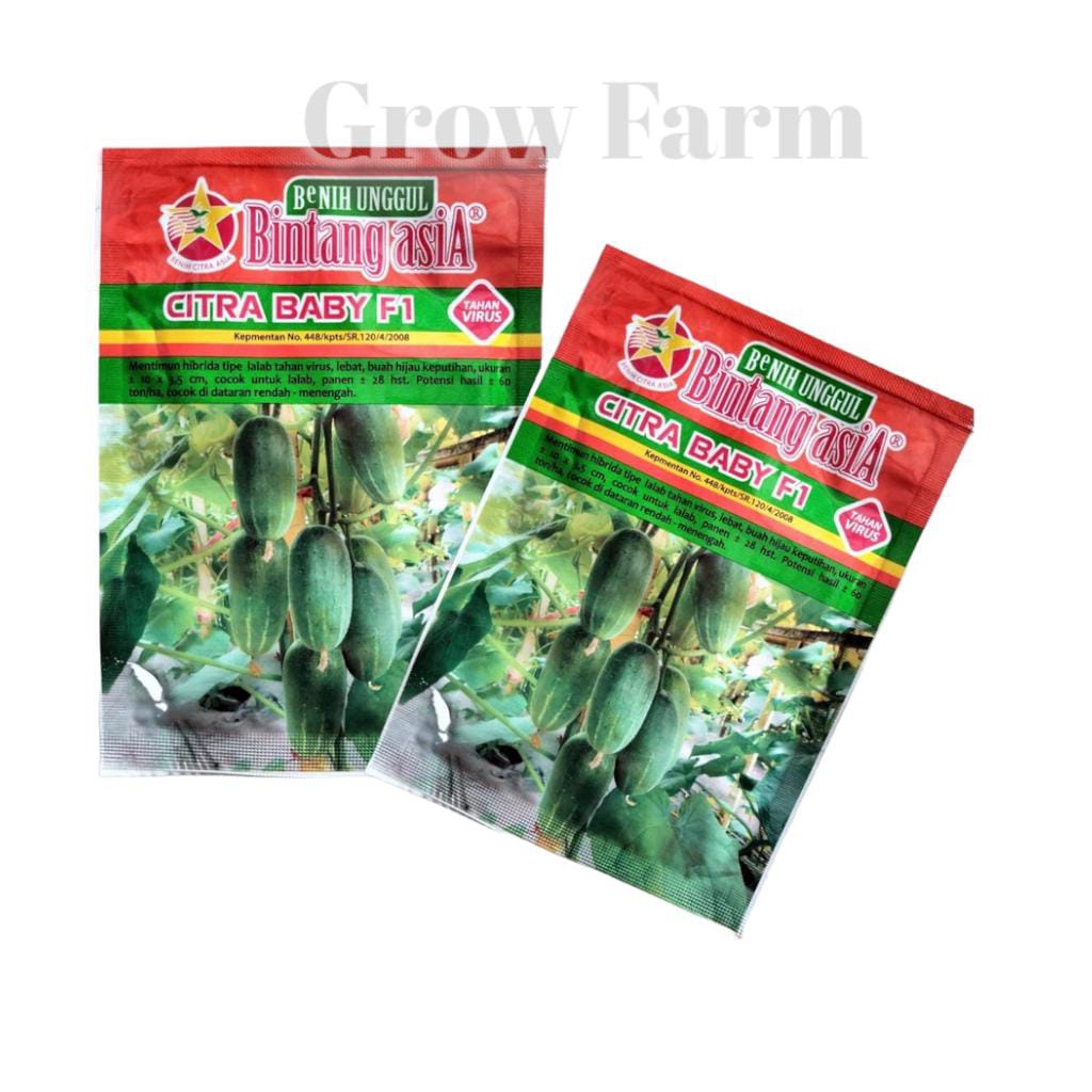 Benih Bibit Timun MENTIMUN CITRA BABY 20 gram Bintang Asia