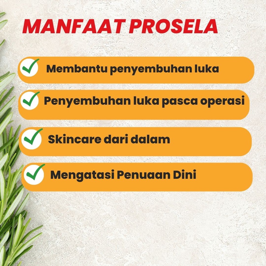 Obat Herbal membantu proses penyembuhan luka dan regenerasi sel peremajaan sel perawatan PROSELA COD