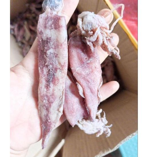 

⚡COD⚡ cumi asin 500gram/cumi asin
