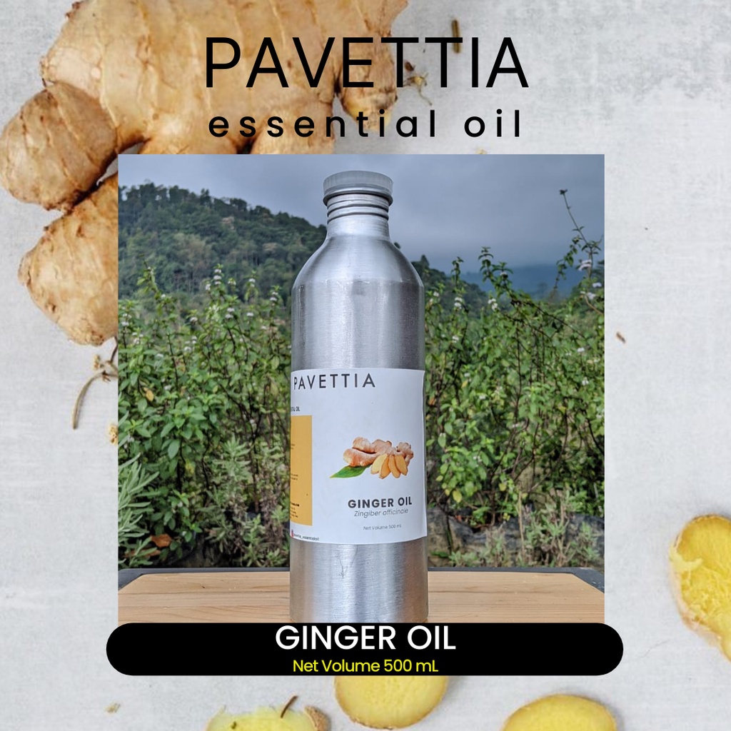 500 ml - Minyak atsiri jahe / ginger essential oil (Zingiber officinale)