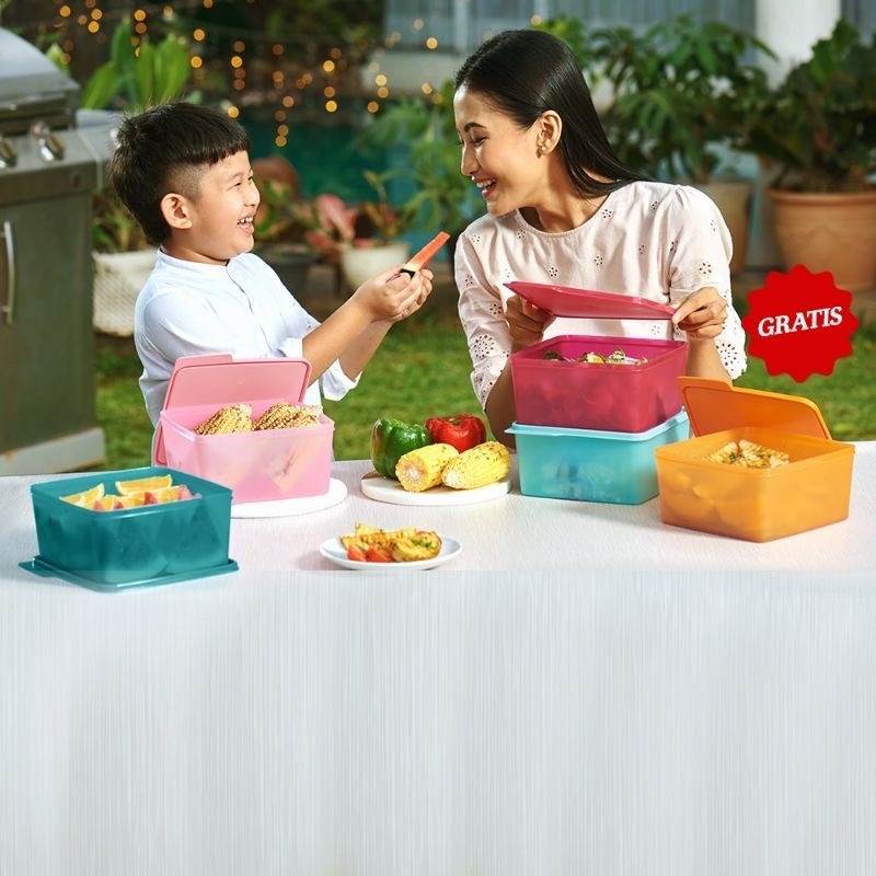 Kotak makan Tupperware large cozy nest 1pcs toples cozynest