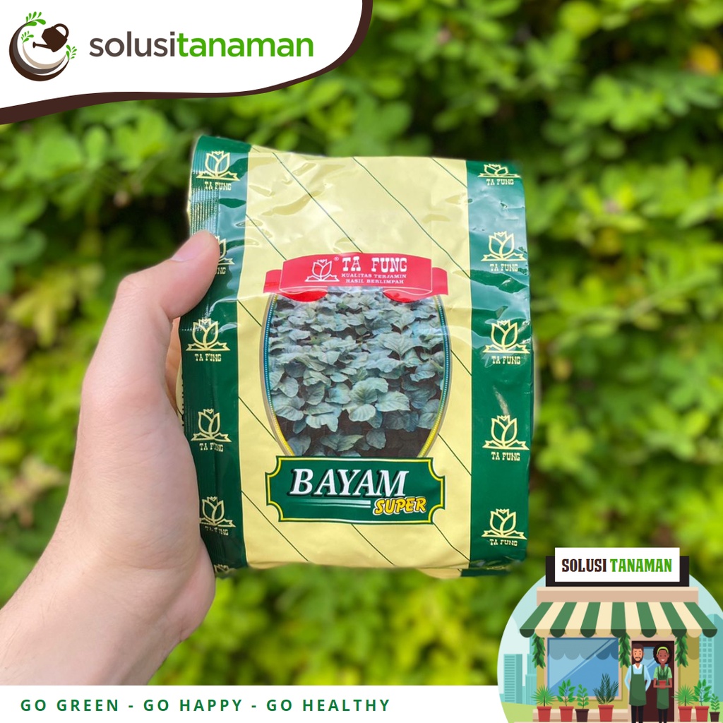 Benih Bayam Hijau Super 500gr 800.000 Biji Bibit Bayam Super Ta Fung Benih Bayam Ta Fung Bibit Bayam