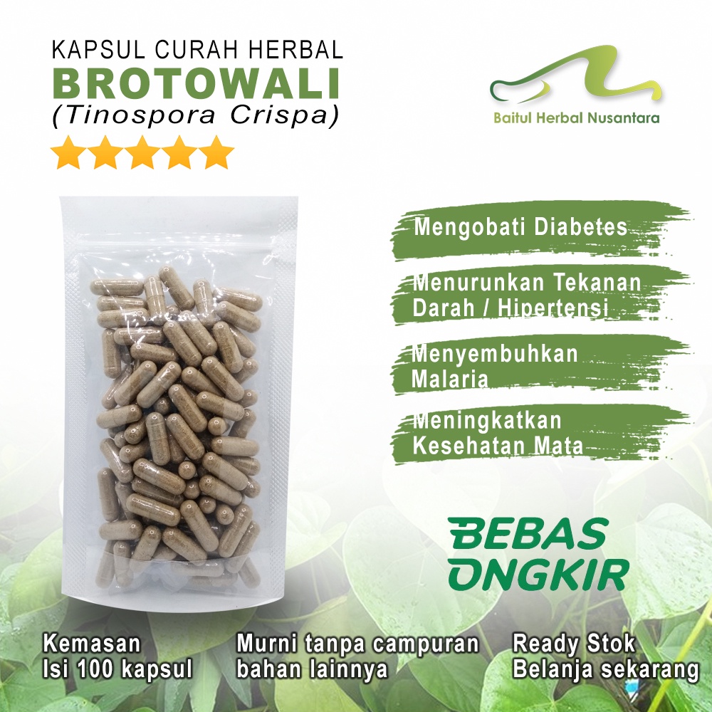 

BROTOWALI 100 Kapsul Herbal Anti Tumor Rematik Diabetes Penyakit Kulit