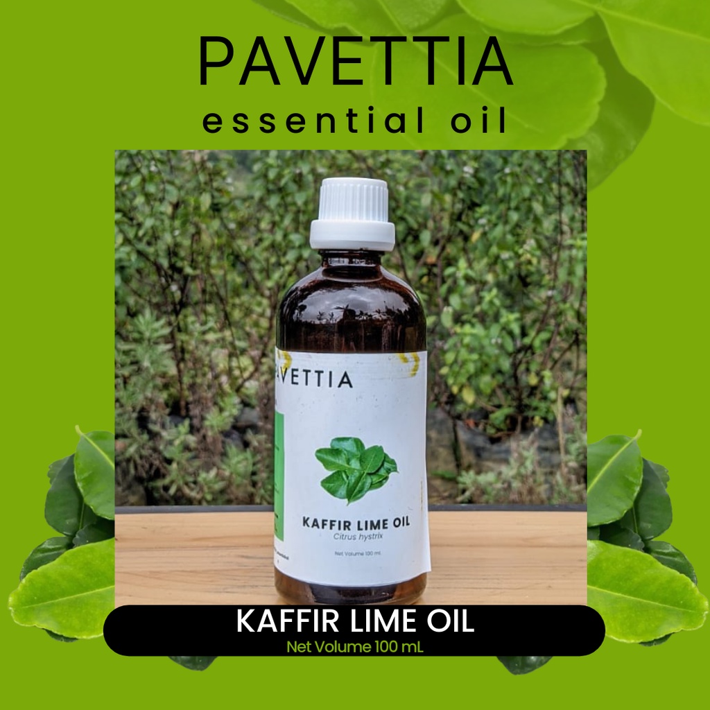 100 ml - minyak atsiri daun jeruk purut / kaffirlime essential oil (Citrus hystrix)