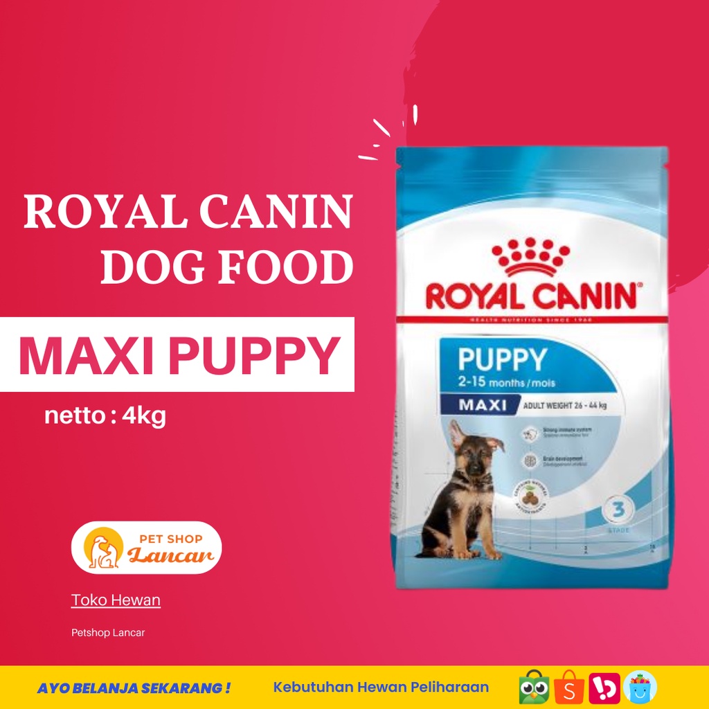 Royal Canin Maxi Puppy Junior Makanan Anak Anjing Dry 4kg