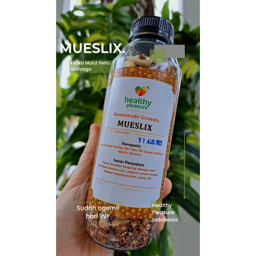 MUESLIX 250G