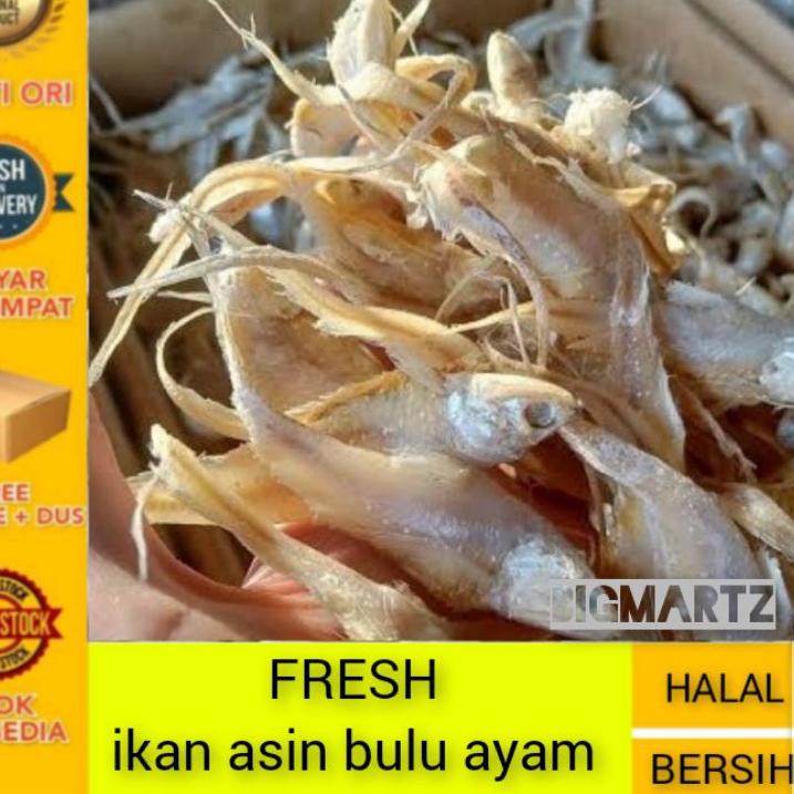 

❊ Ikan Asin Bulu Ayam fresh / bulu ayam super ♖