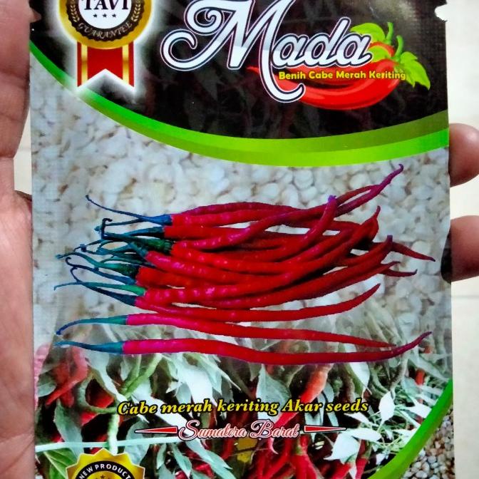 Bibit Cabe Merah Keriting MADA 10gr - Benih Cabe MADA - Cmk MADA AKAR
