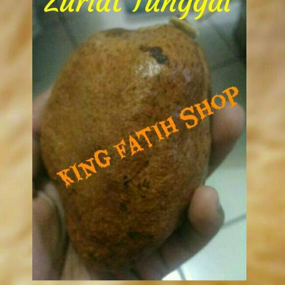 

♛ Buah Zuriat Tunggal Mesir 1 Kg (Untuk dan Penurun Darah Tinggi) ☺