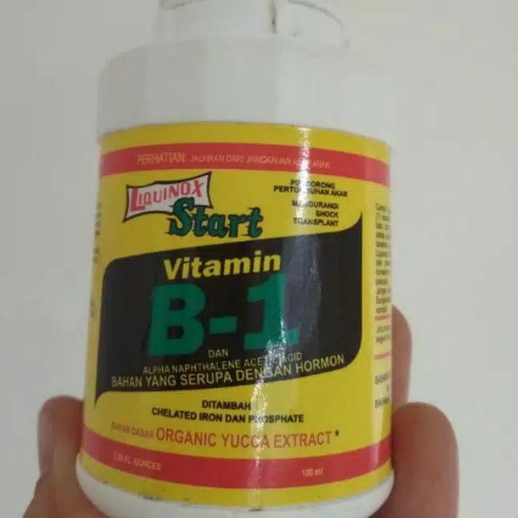 Terbaru vit B1