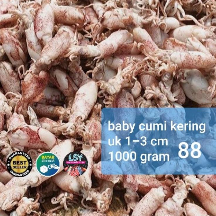 

← ikan asin baby cumi / cumi rebus kering 88 berat 1kg ➸