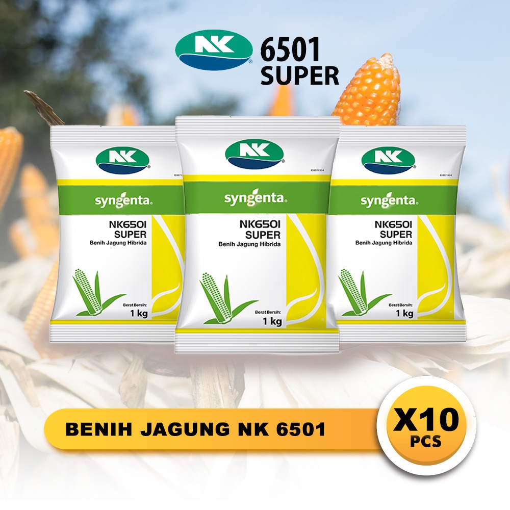 Benih Jagung NK Super NK6501 - 1 KG