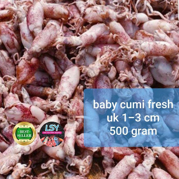 

♨ ikan asin baby cumi / cumi asin / cumi rebus 78 berat 500gram ♀