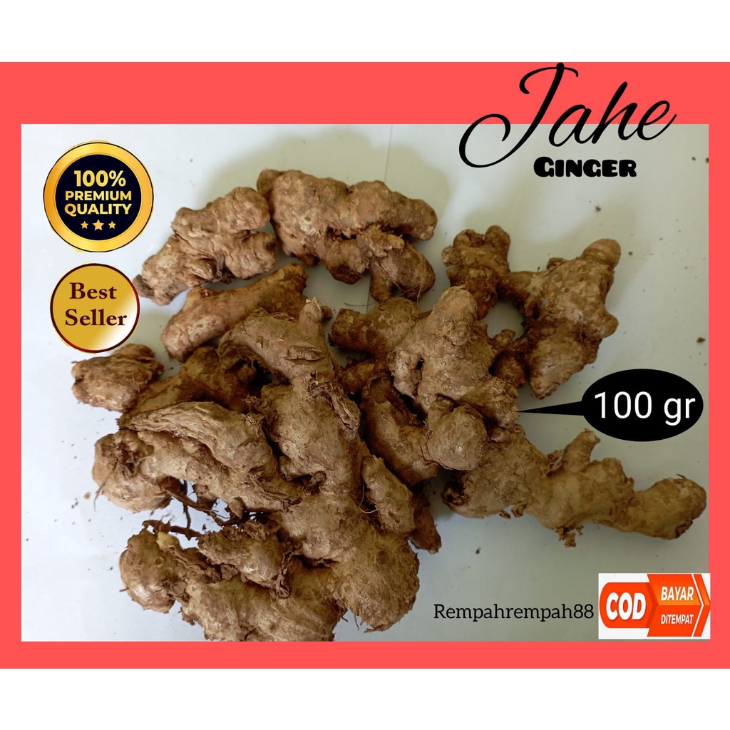 

Jahe Emprit Segar Alami 100gr Ginger Fresh