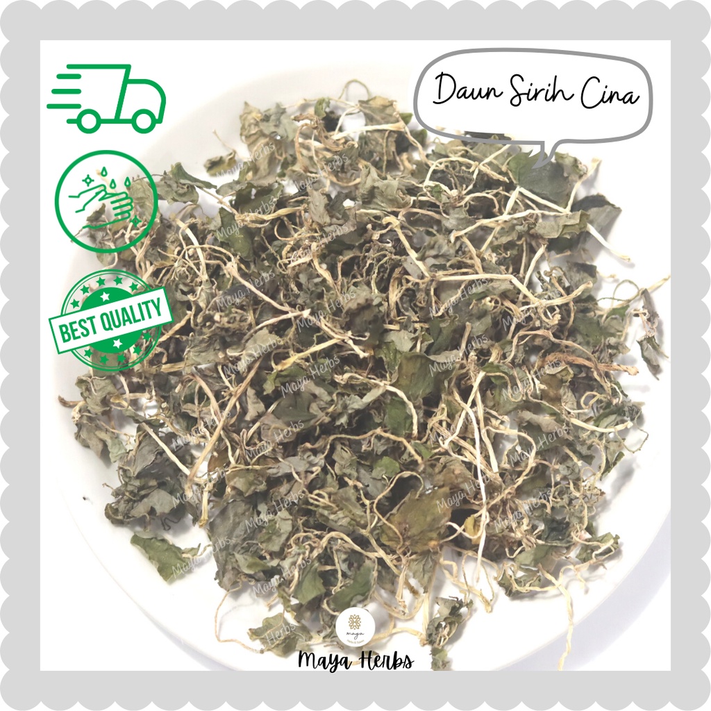 Daun Sirih Cina Kering 10 gram (Tumpang Air / Peperomia Pellucida)