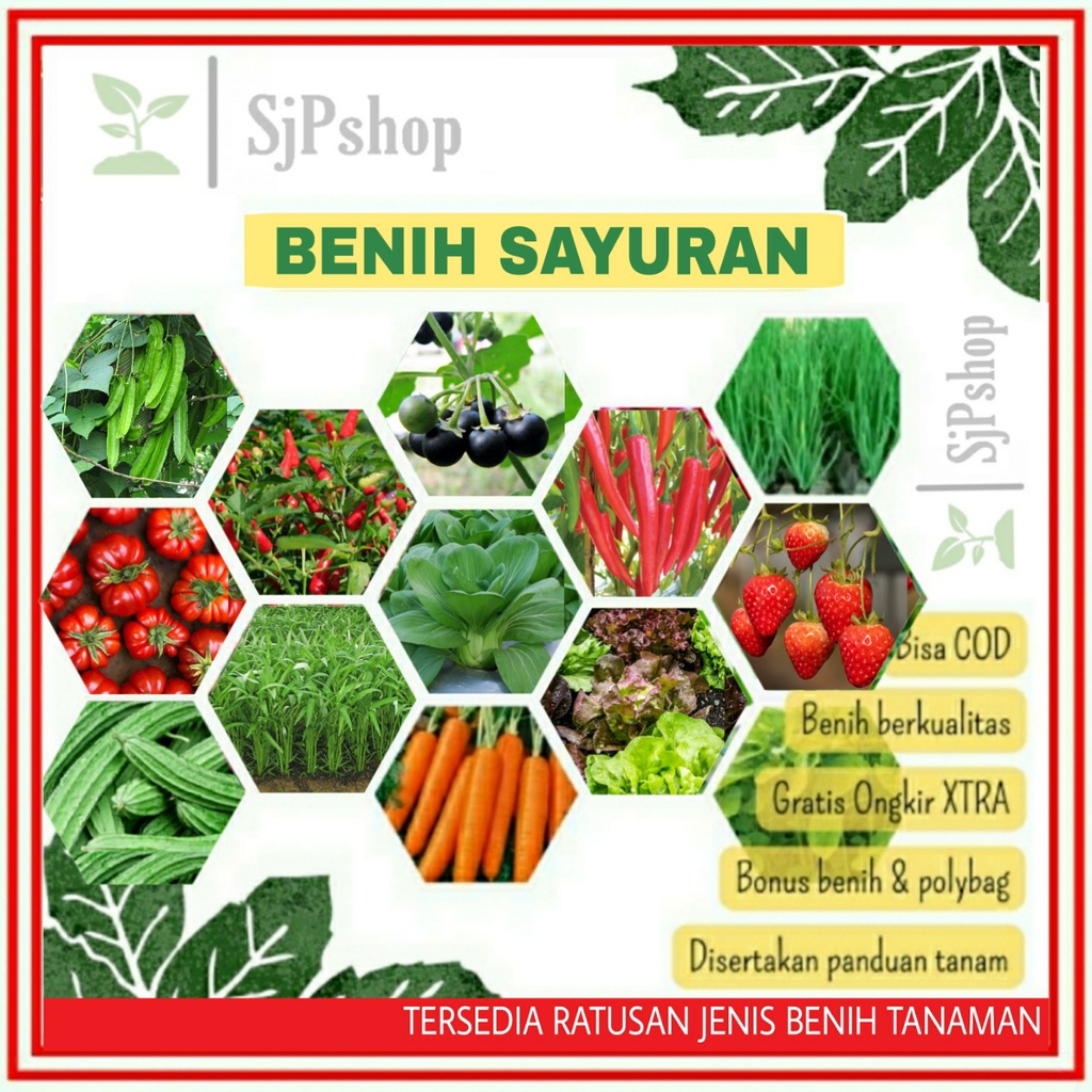 Bibit Sayuran Benih Sayur Paket Lengkap Tanaman Hidroponik Kangkung Bayam Brokoli Cabe Rawit Daun Ba