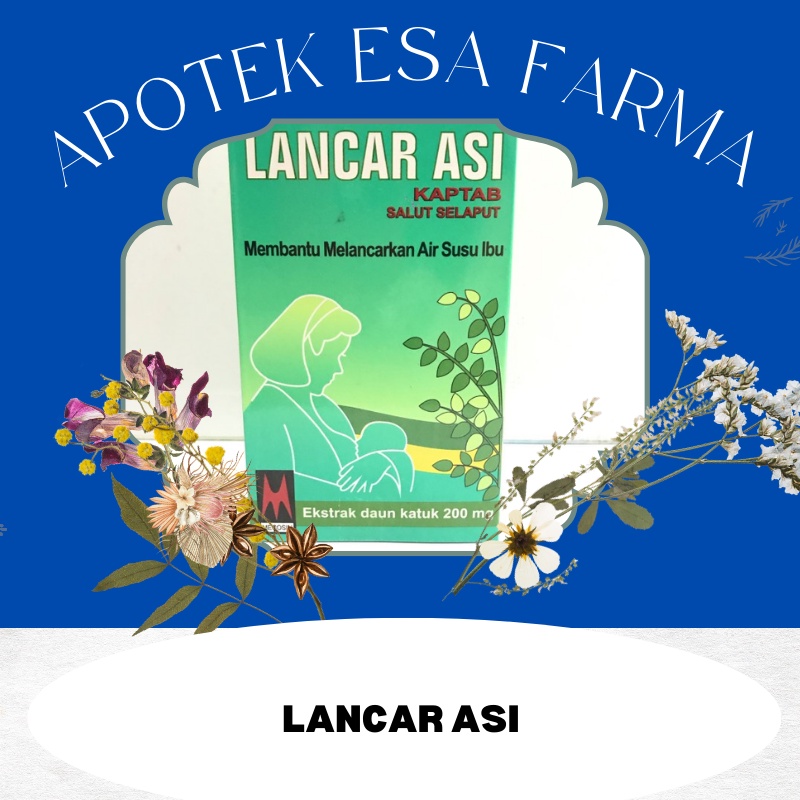 Lancar ASI, ekstrak daun katuk / booster asi