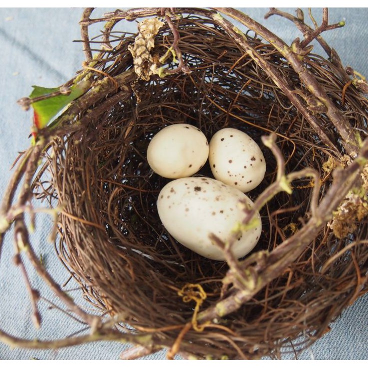 BS968 Sarang Burung Telur Dekorasi Hiasan