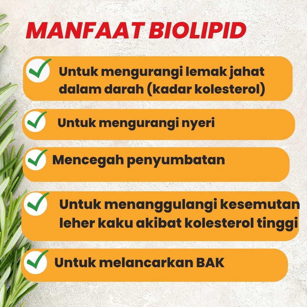 Obat kolesterol kolestrol herbal kesemutan asam urat dan kebas darah tinggi penurun pusing trigliserida tinggi Naturindo