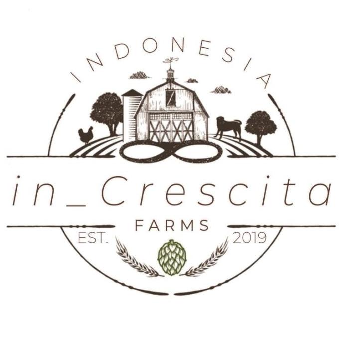 BENIH/BIBIT JAGUNG SUPER HIBRIDA BISI 228 CAP KAPAL TERBANG 1 KG