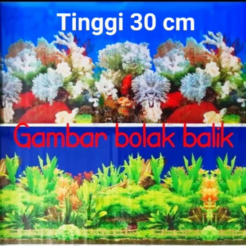 Background aquarium latar belakang akuarium walpaper akuarium Tinggi 30 cm