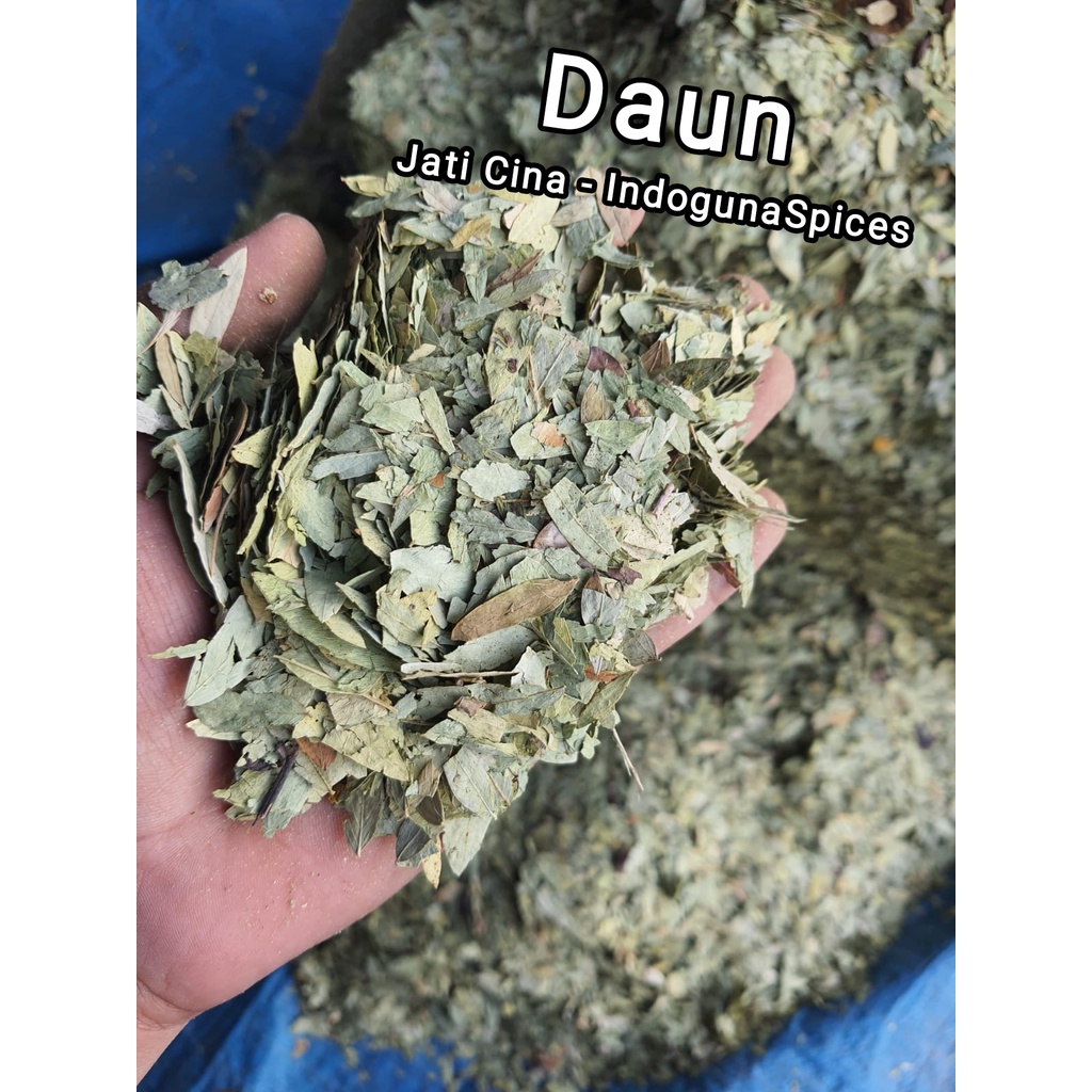 

Daun Jati cina / Jati tiongkok /daun Sena perkilogram