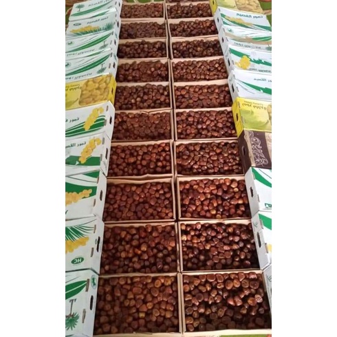 

kurma sukari