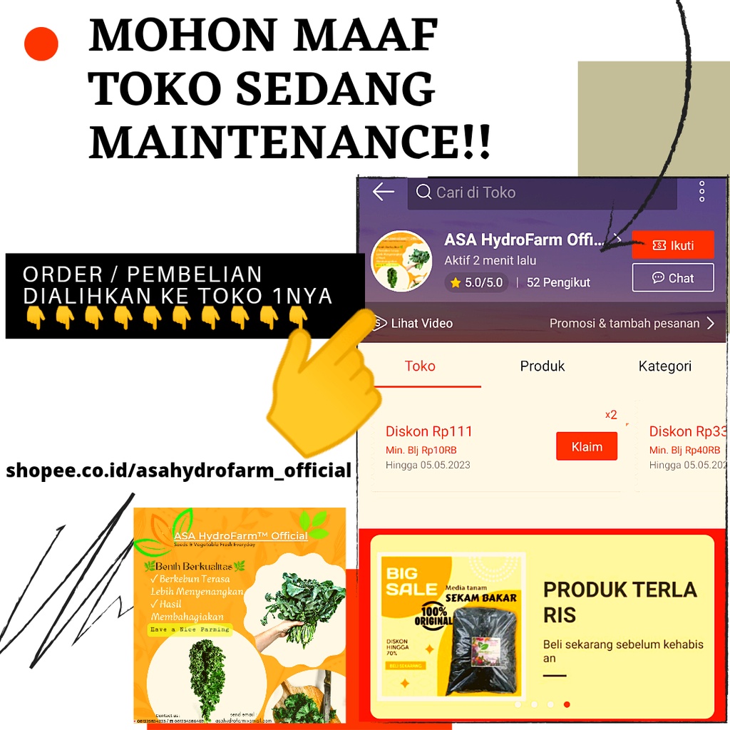 ASA HydroFarm Benih / Bibit Selada Hijau Import ANIZEL by BEJO Seeds Kemasan Repack isi 100 biji