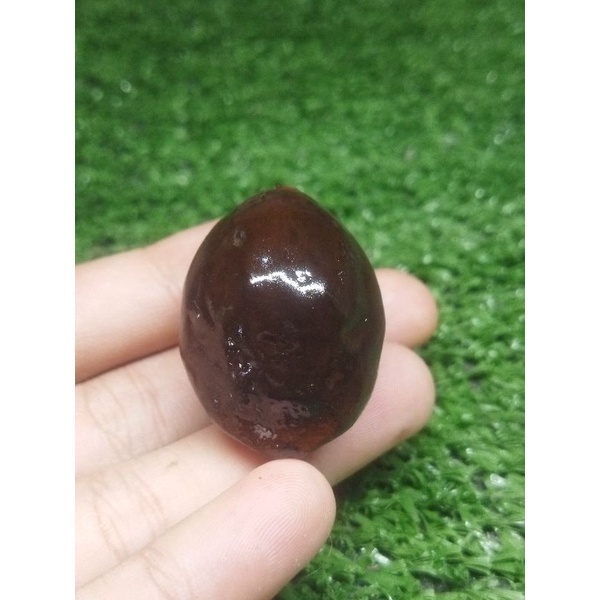 MUNCANG ADU KEMIRI WADAS NGALENTANG ORI