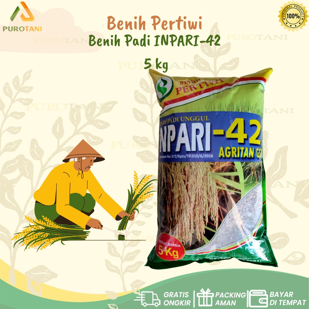 Benih Padi Unggul INPARI 42 AGRITAN GSR 5 KG BENIH PERTIWI