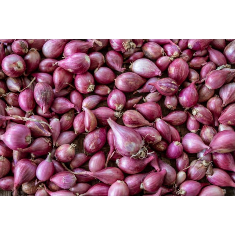 

Bawang merah super 1kg