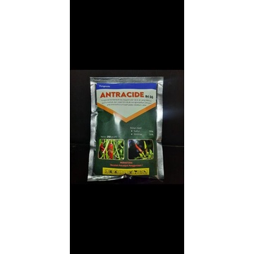 FUNGISIDA ANTRACIDE 84SG / PENYAKIT ANTRAK  /PATEK/CACAR KEMASAN 100GR