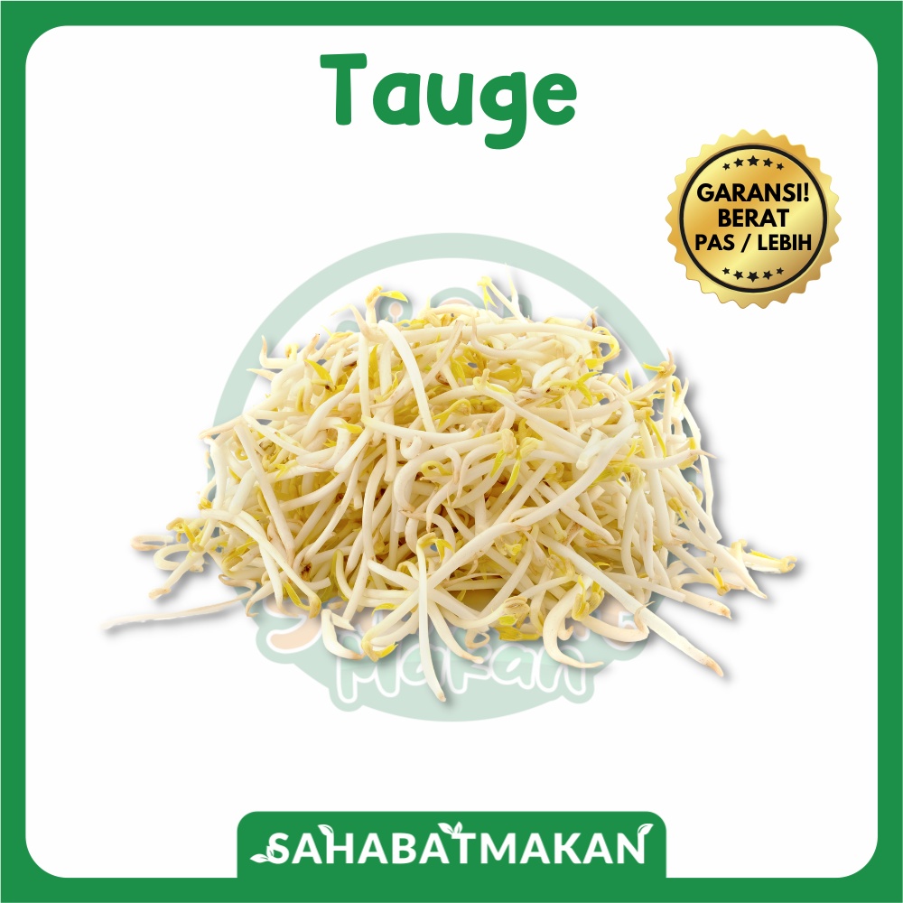 Tauge — SahabatMakan