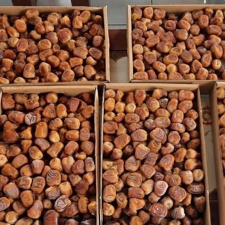 

KURMA SUKARI BERKUALITAS KURMA SUKARI 3KG BASAH JUMBO - SUKARI TERMURAH KOTA BEKASI EL09I09A82L