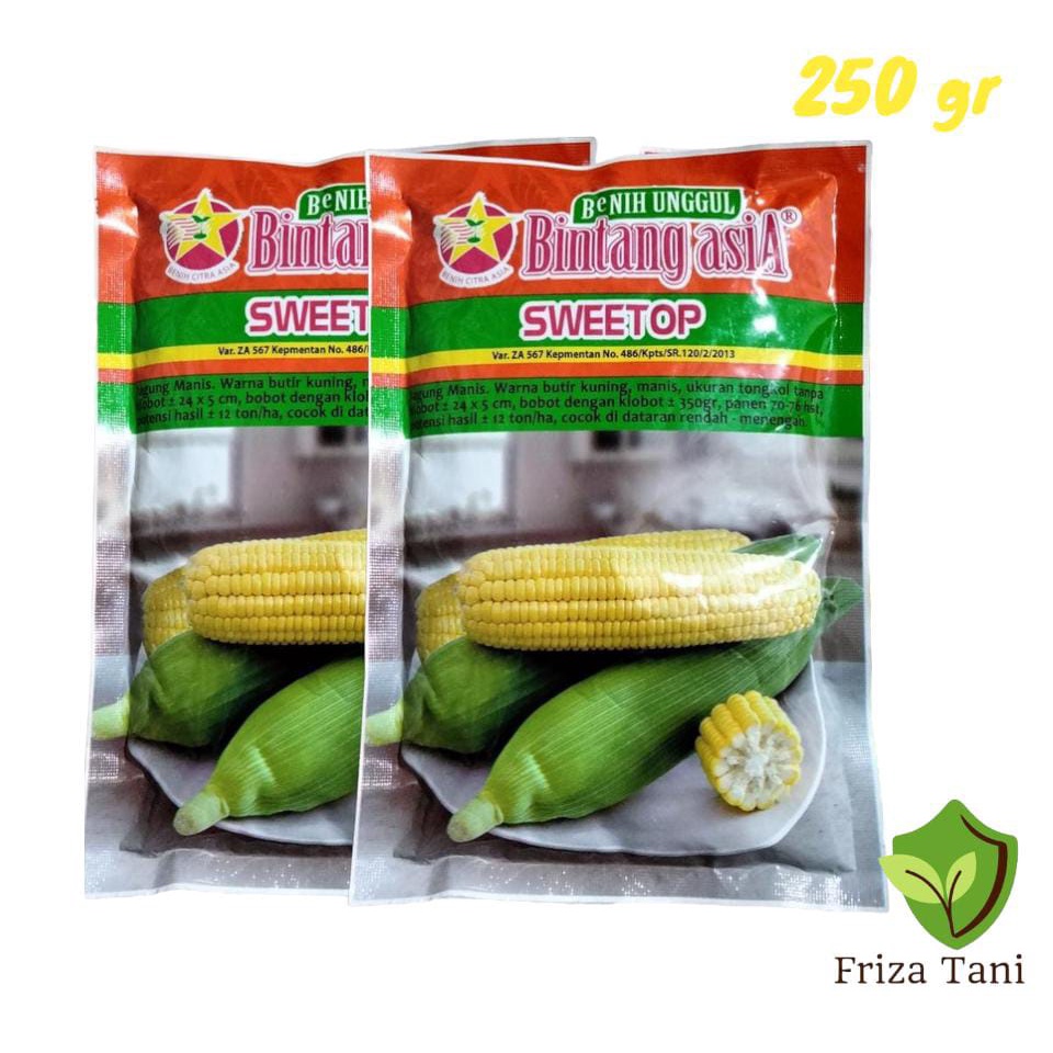 Benih Bibit Jagung Manis SWEETOP (MANISE) Isi 250gr Bintang Asia 100% Original exotic paragon talent