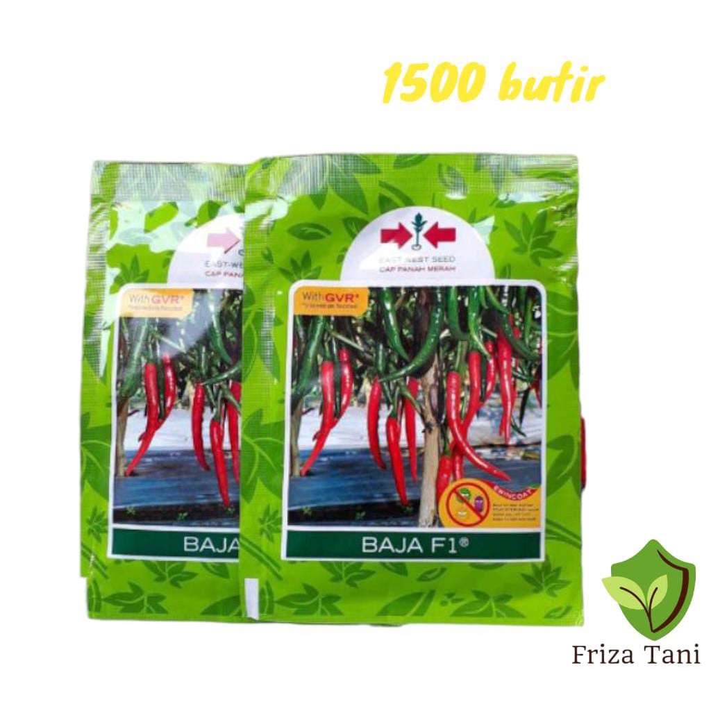 Benih Cabe Besar Baja F1 Isi 1500 Biji Panah Merah Darmais