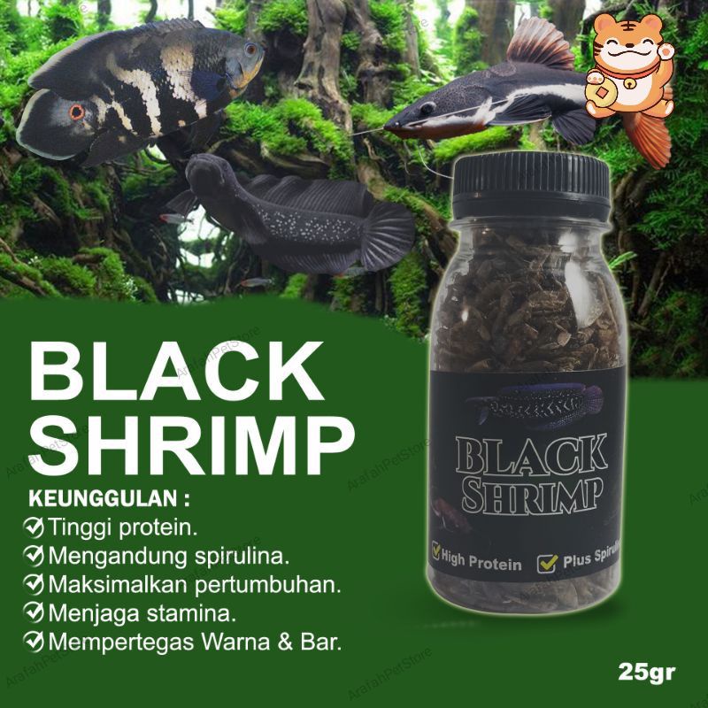 Udang Kering Black Shrimp Pakan ikan Channa Asiastika rsws Black Shrimp Channa AsRsWs Oscar
