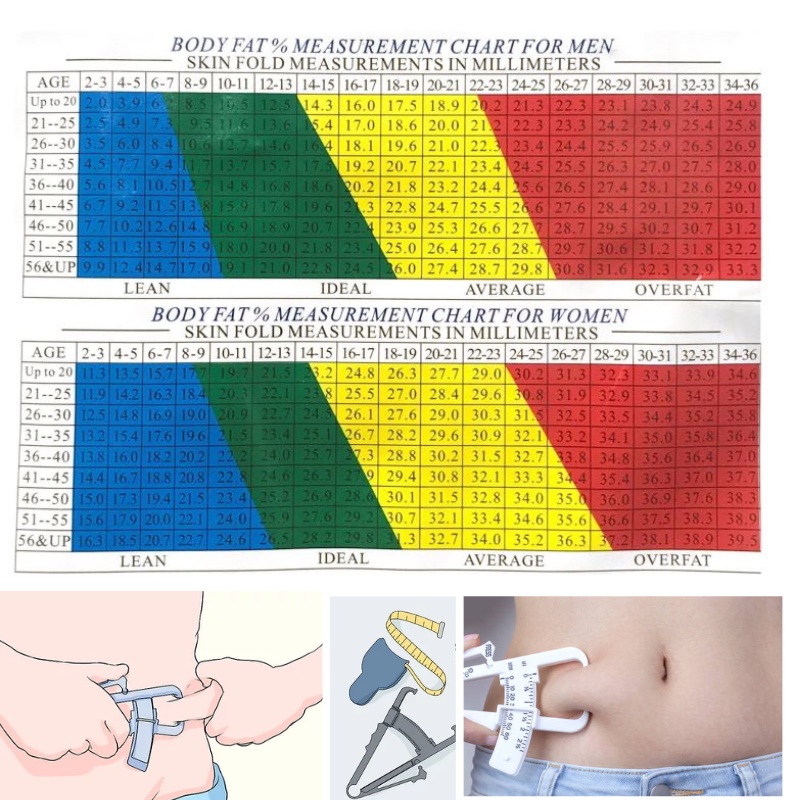 Body Fat Tester / Caliper / Alat Pengukur Lemak Scale