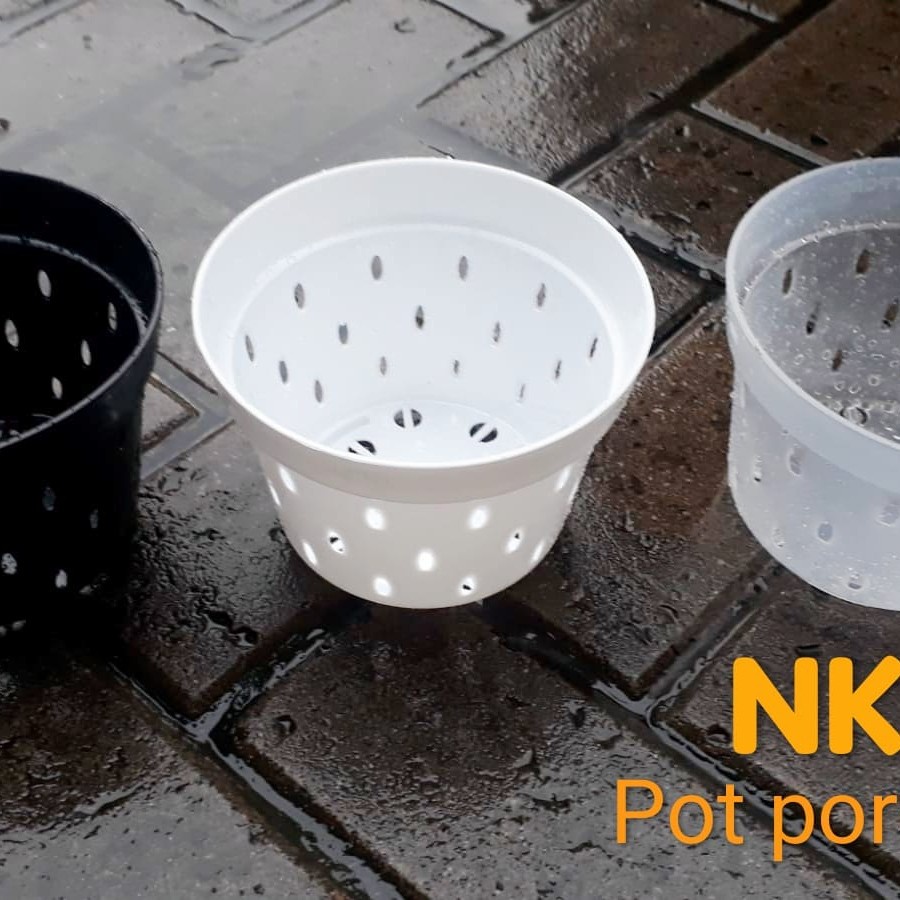 Pot propagasi | Pot anggrek | Pot poros 15 cm | Pot banyak lubang - Bening