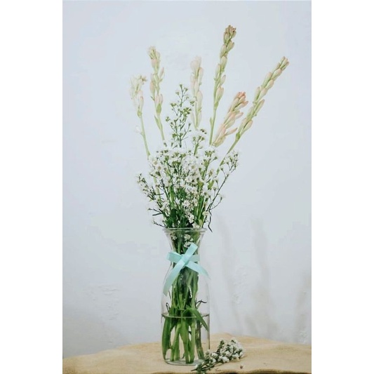 Vas Bunga Kaca Bening Tinggi Besar Minimalis Estetik/ Vas Kaca Tabung Bunga Mawar Sedap Malam