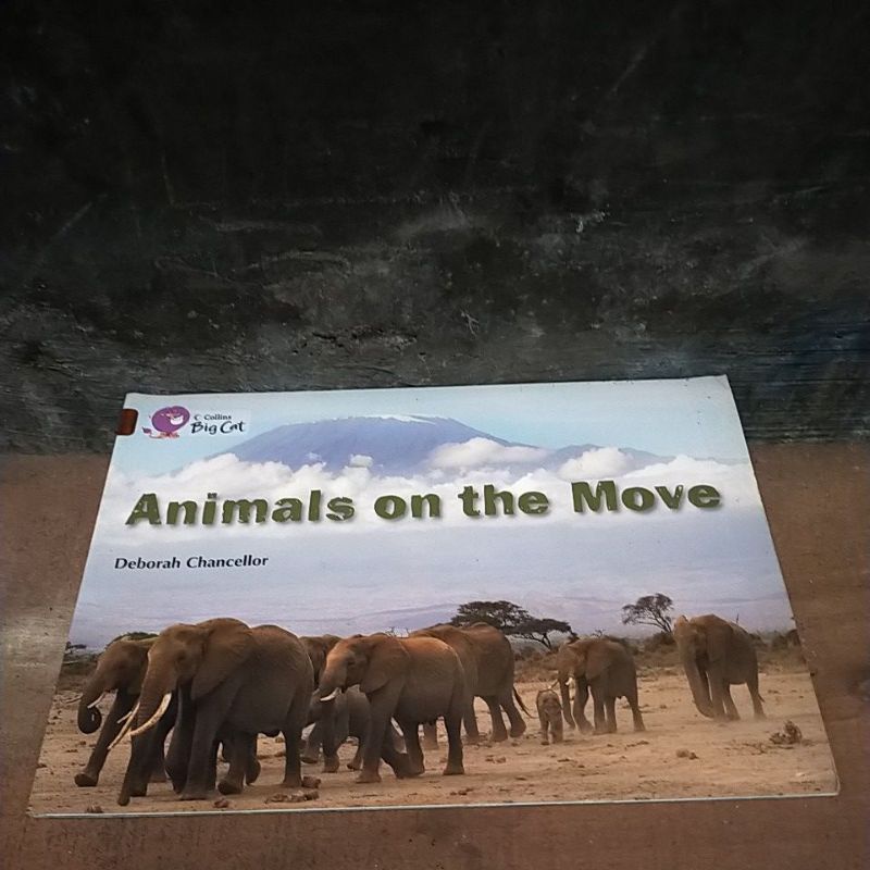 

buku animals on the move