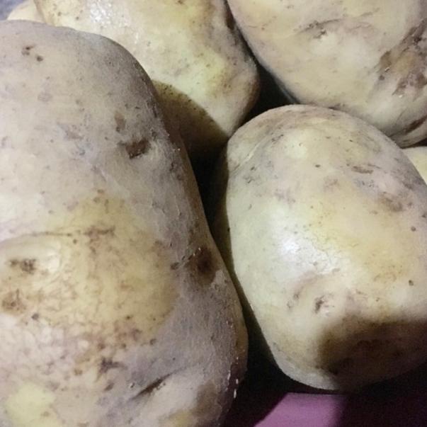 

⚡COD⚡ Kentang Dieng 1kg
