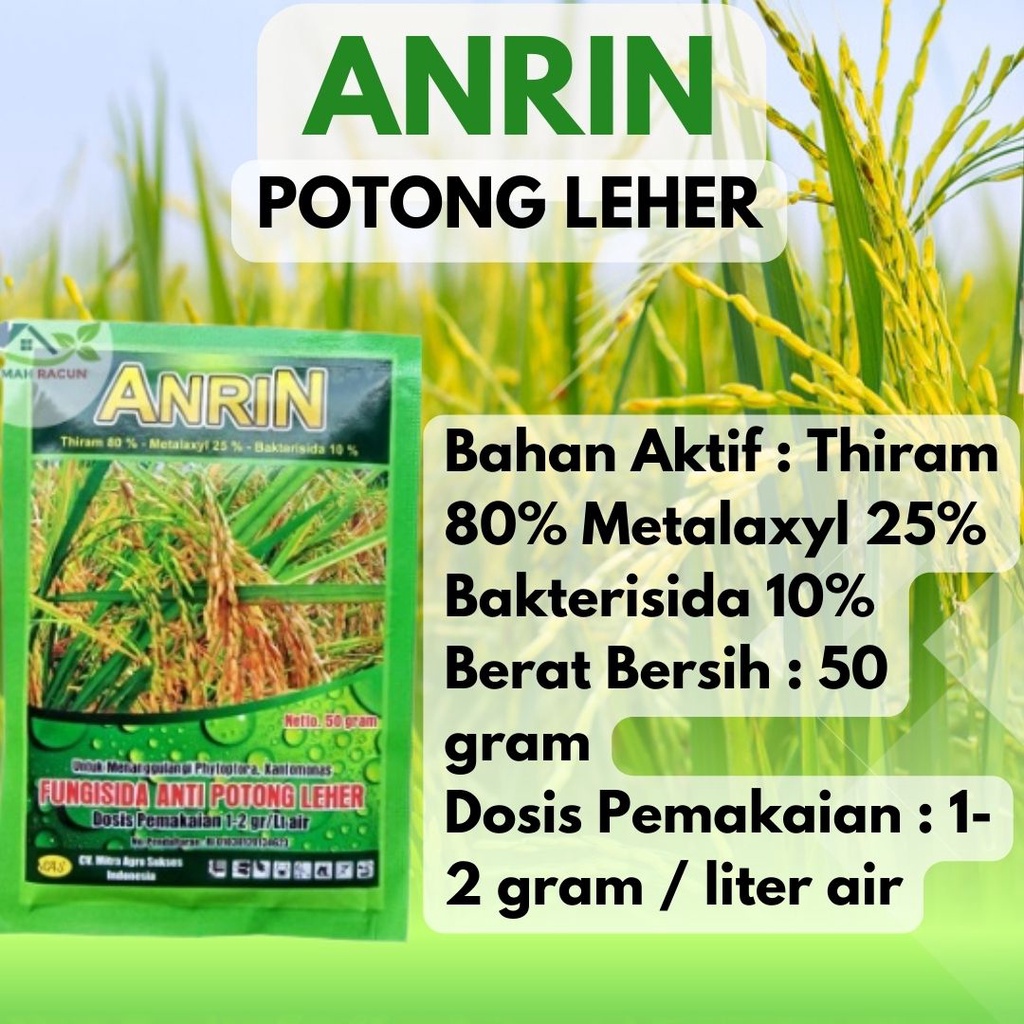 FUNGISIDA ANRIN OBAT ANTI POTONG LEHER UNTUK PADI