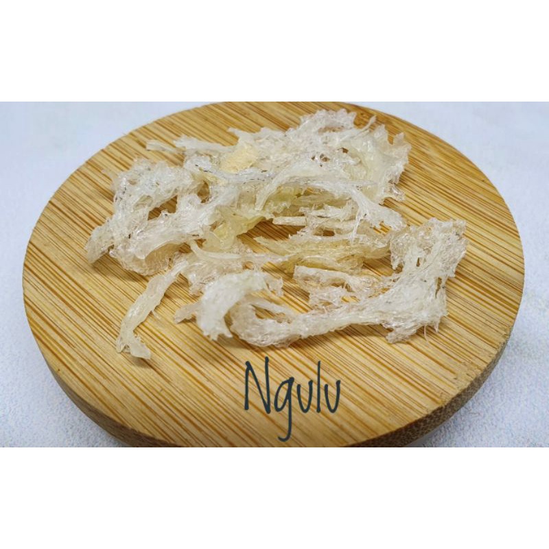 

Sarang Walet Ayakan (Patahan Kecil)