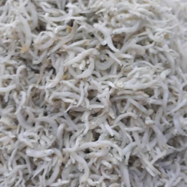 

✥ Teri Nasi Medan 500 gram ➶