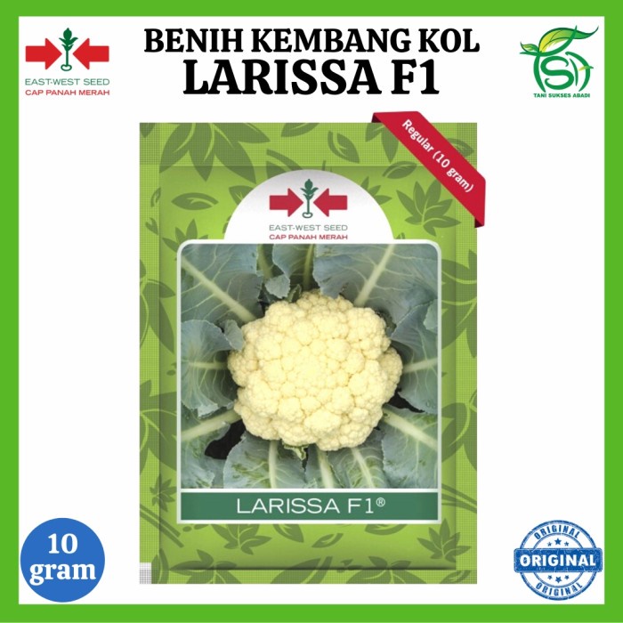 Benih LARISSA F1 (10 Gram) - Bibit Kembang Bunga Kol Ganti Mona PM 126