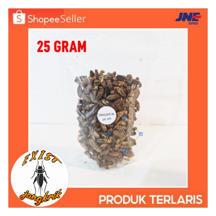 jangkrik kering  GRADE A pakan sugar glider,chana,arwana dan iguana