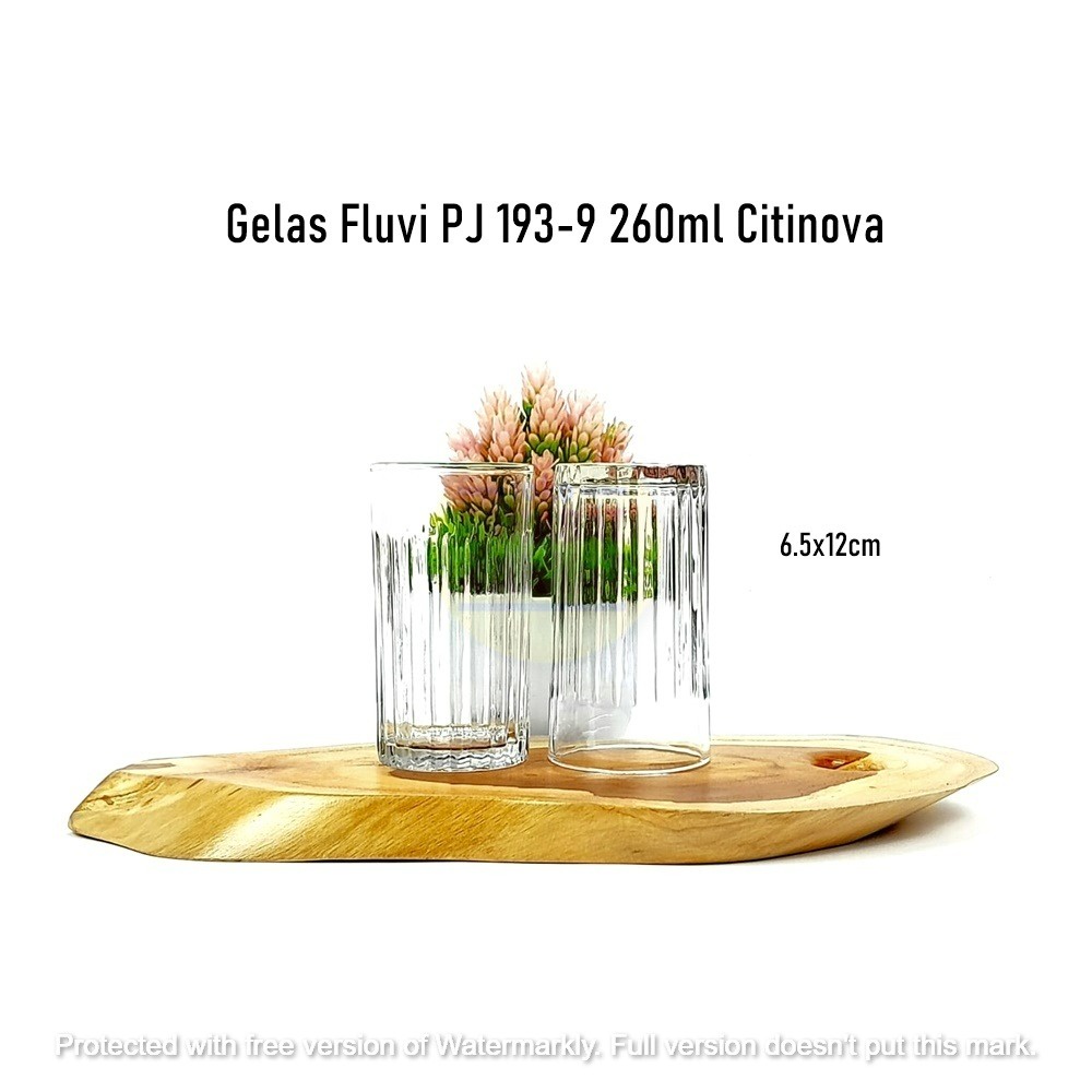 [1pcs] Gelas Fluvi PJ 193-9 Citinova