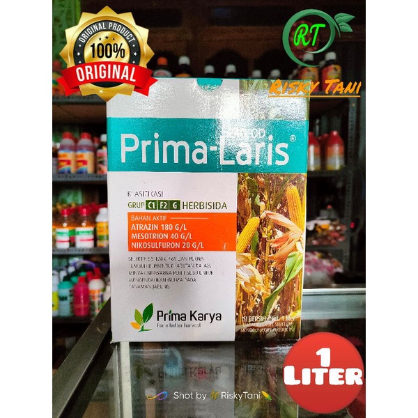 Herbisida selektif jagung PRIMA LARIS 240OD kemasan 1liter
